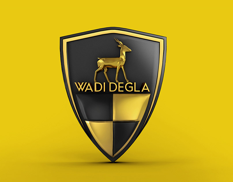 Wadi Degla Club-  نادي وادي دجلة
